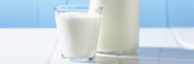 Intolerância à lactose ou Alergia a proteína do leite de vaca?